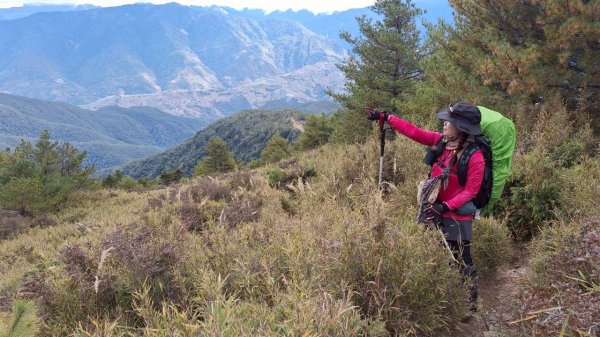 逆走雪劍💙淒風苦雨賞雪❄️+🎂⛰️旅2967620