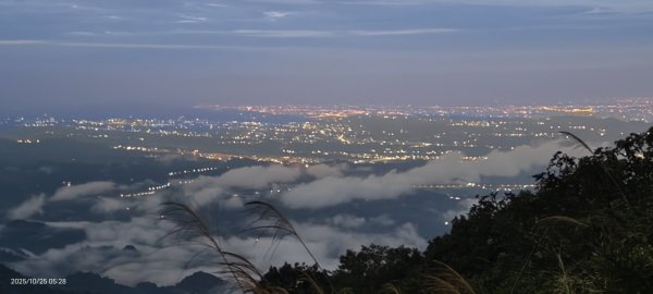 #馬那邦山 #琉璃光 #日出 #雲海 #山羌 #楓葉 10/25 & 11/12924585