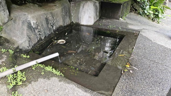 20260312瑞芳砲台山-水圳路3015925