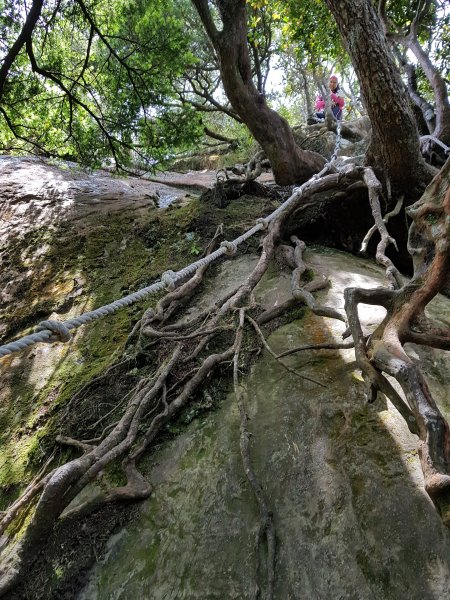 復興三尖之那結山1423104