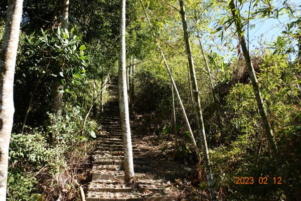 嘉義 竹崎 大坑山2032214