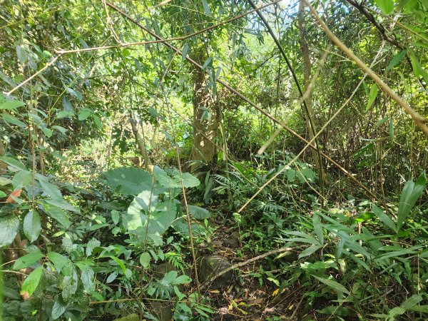 20251214石牛山柑坪山新柑坪山牛背岩2972744