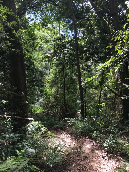 20161119_谷關七雄之四-波津加山873772