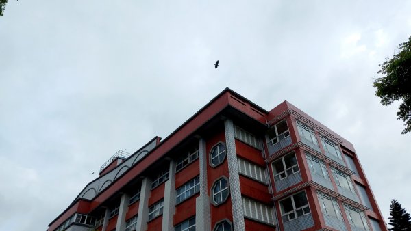 小百岳NO.5觀音山 牛港稜步道  硬漢嶺   楓櫃斗湖登山步道2090102