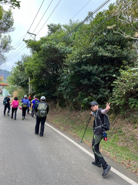 迴龍至大棟山1568721