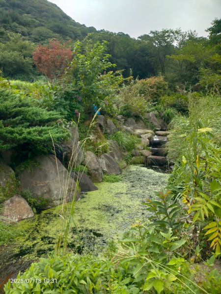 臺北大縱走第二段：二子坪至小油坑2840551