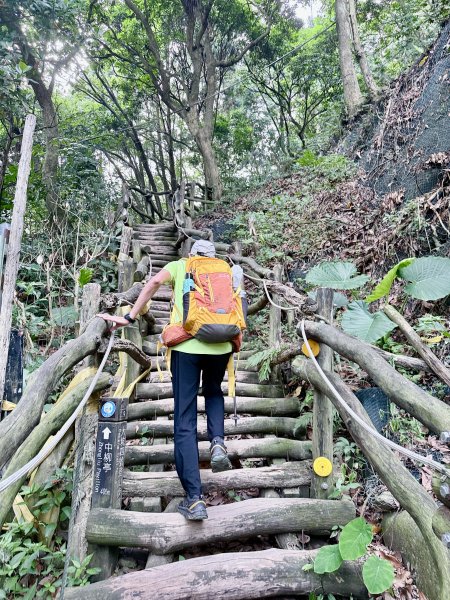好久沒來大坑4號步道 2026.6.243079530
