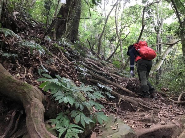 金風送爽虎山遊426019