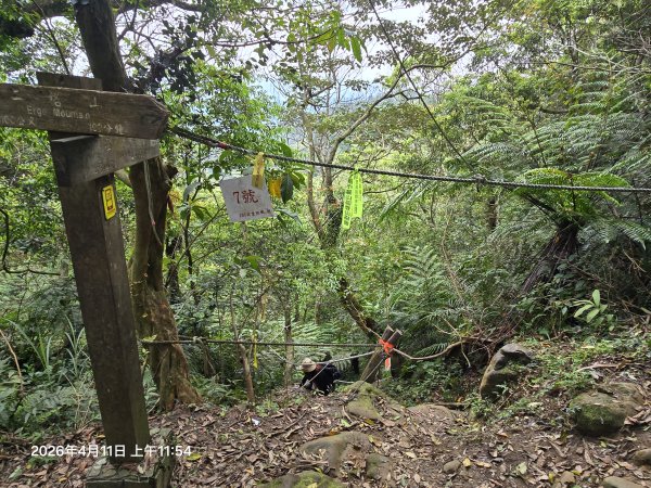 2026-04-11微笑山線：【二格山系】筆架連峰段3034600