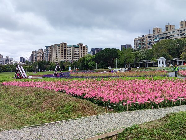 臺北大縱走第七段&第八段3019183