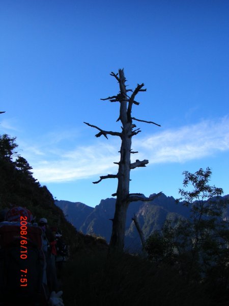 玉山暨阿里山之旅200806091954473