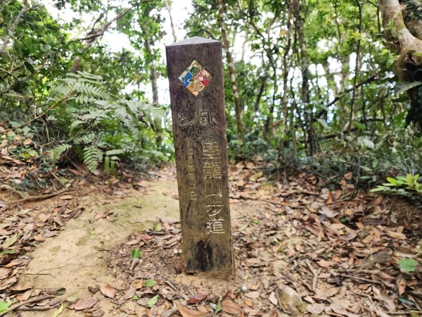 小百岳No.80⛰里龍山2776350