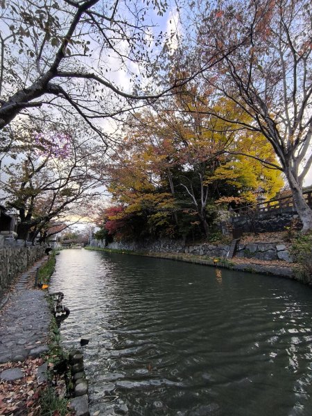 【日本健行】岡山、彥根 (近江八幡、彥根城)、姬路(書寫山圓教寺、世界遺產姬路城、好古園)2946496