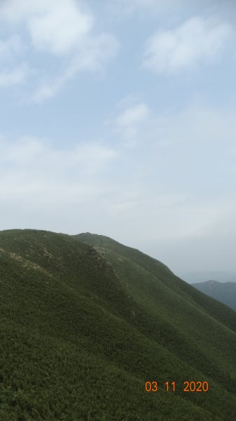 沒有意外，再度槓龜 !876560