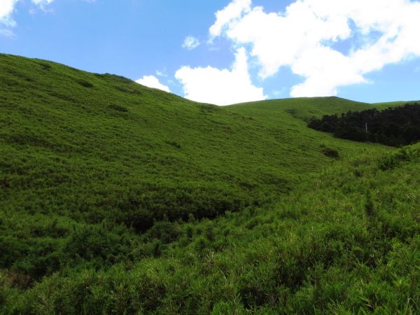 合歡西北峰(夏季北峰與母親節期西北峰)126910