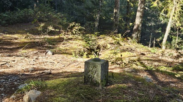 巒安堂-西巒2685972