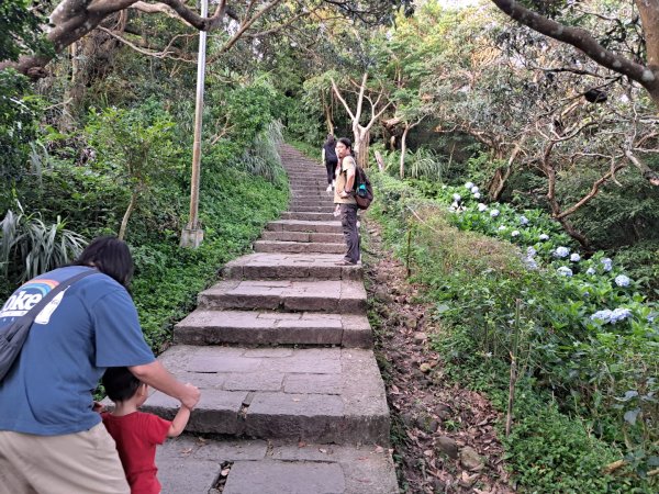 新北硬漢領步道3105921