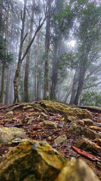 112.04.08 油羅山2123581