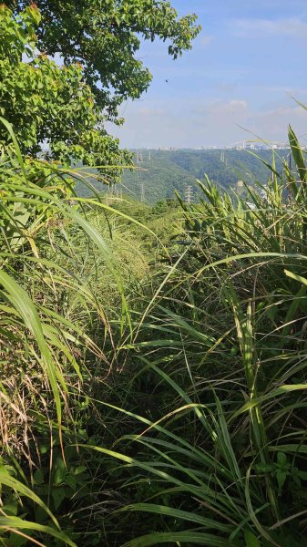 20250809三福山-三角埔頂山-迴龍尖山2858220