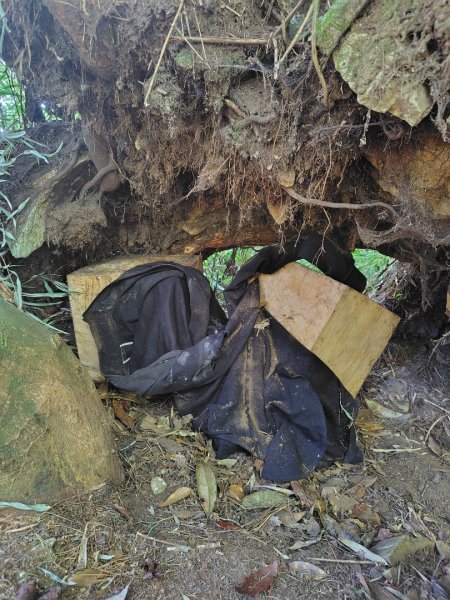 守關山南峰 守關山 守城大山2919166