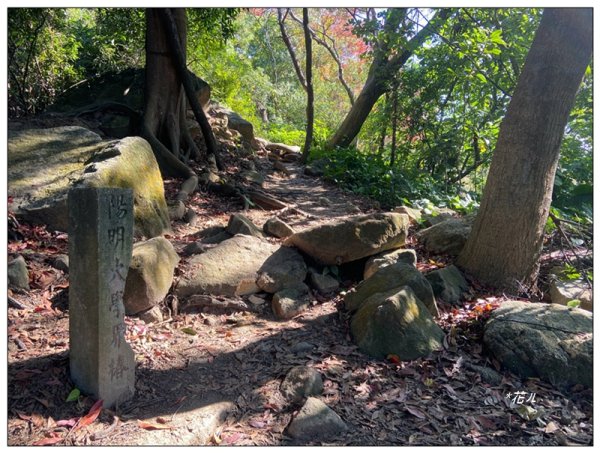 烏尖連峰縱走18基石 ( 唭哩岸山、軍艦岩、丹鳳山 )2980915