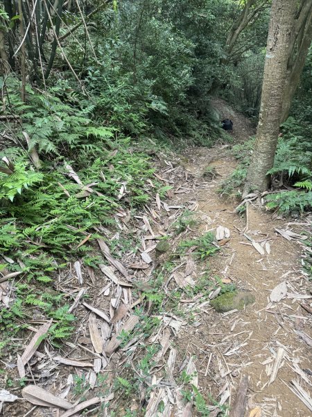 鶯歌石步道小O型路線3036054