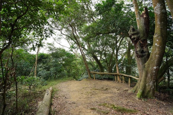 新竹 峨嵋 獅頭山、獅尾山、六寮山、猿山2450111