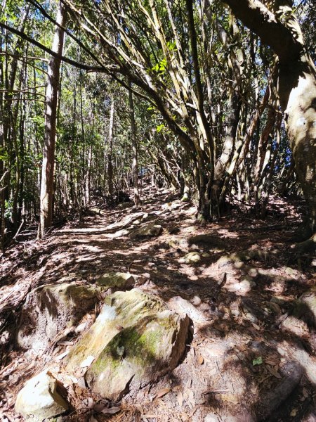 屋我尾山-谷關七雄 老三2962556