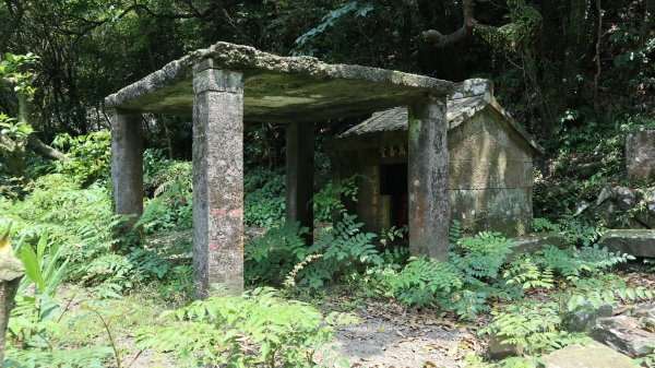 大粗坑古道連走小粗坑古道O型登山健行趣(步道)2160246