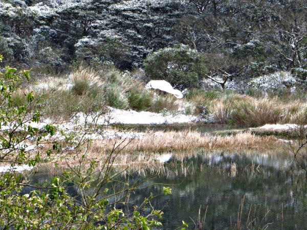 白雪覆蓋的向天山/向天池/面天山/二子坪30260