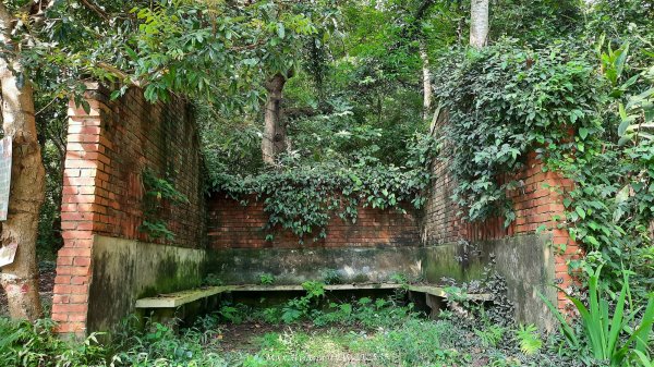 《苗栗》關刀出關｜三義關刀山出關古道(聖關段-苗56)202509052878769