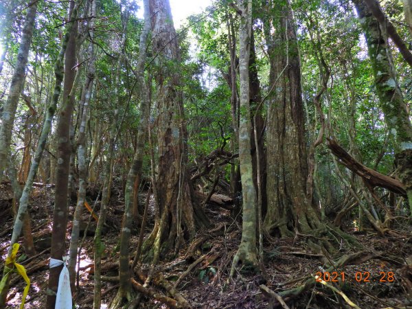 南投 仁愛 有勝山1287359