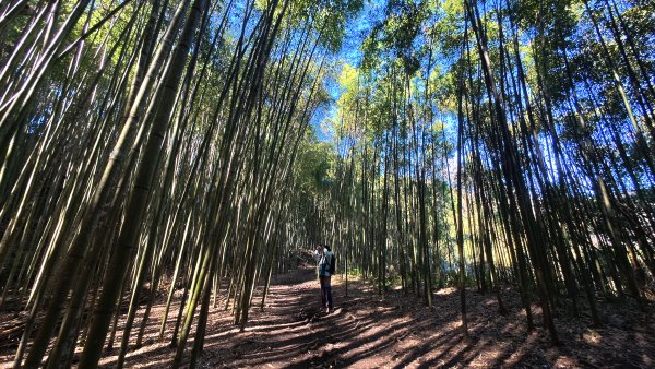 霞喀羅古道2723292