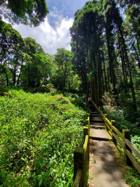 【嘉義|大凍山】多林-頂湖走1010195