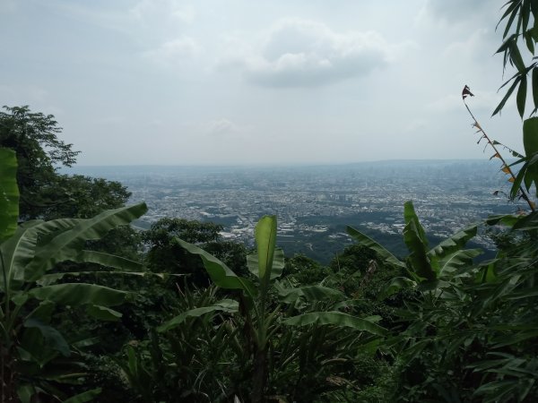 台中太平-三汀山1020679