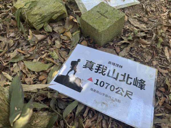 南真我山 & 真我山 & 真我山北峰 & 五公山 (20260215)3000608