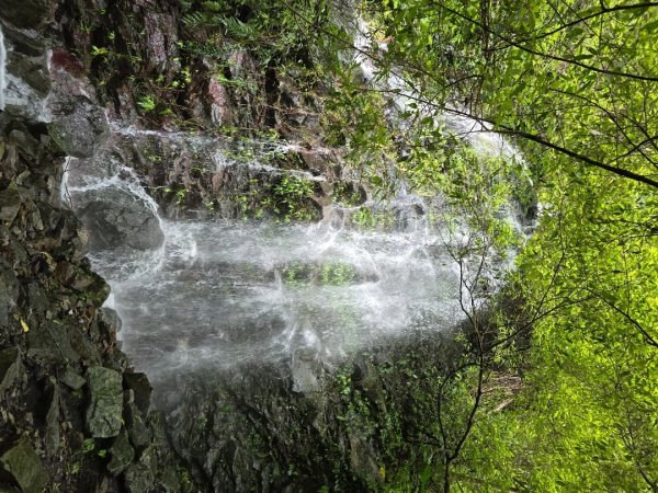 凱米過後首次再來谷關〔唐麻丹山+蝴蝶谷瀑布〕2563726