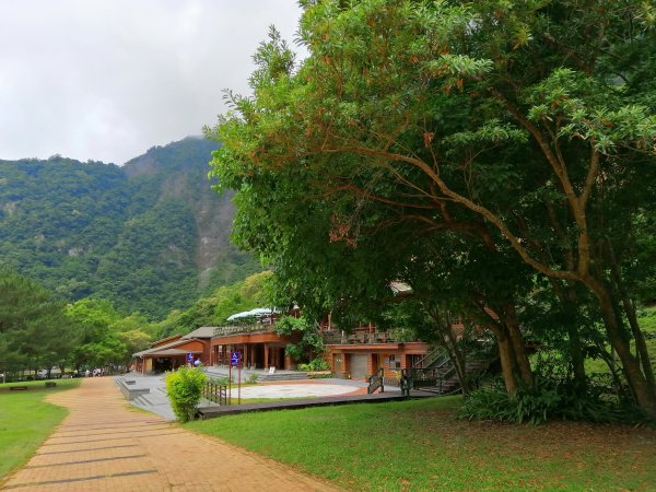 花蓮秀林。山谷裡的清悠~布洛灣景觀步道1038421