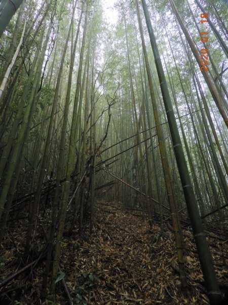 新竹 尖石 那羅山 (拉洛山)807698