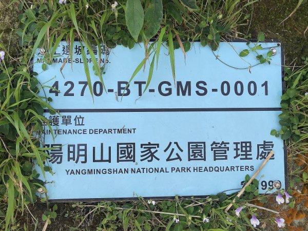 ~  臺北大縱走  第三段  ~1369421