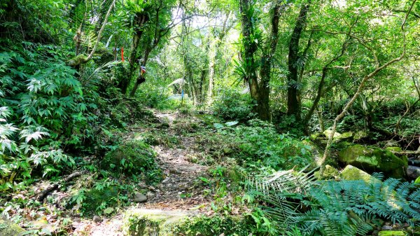 雙溪下坑古道2859474
