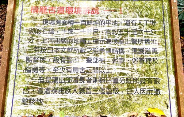 【中級山縱走】水雲三星，橫龍山，騰龍山，橫龍古道2742979