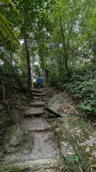 113.07.21福山蝴蝶公園-溪瀧步道之旅2564401