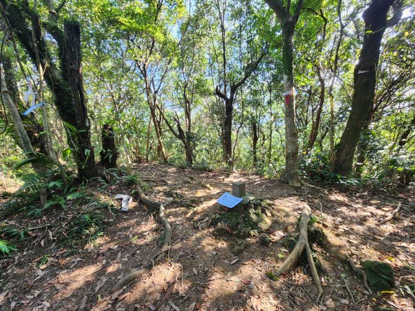 20240114指南宮站經猴山岳二格山鵝角格山至貓空站2430828