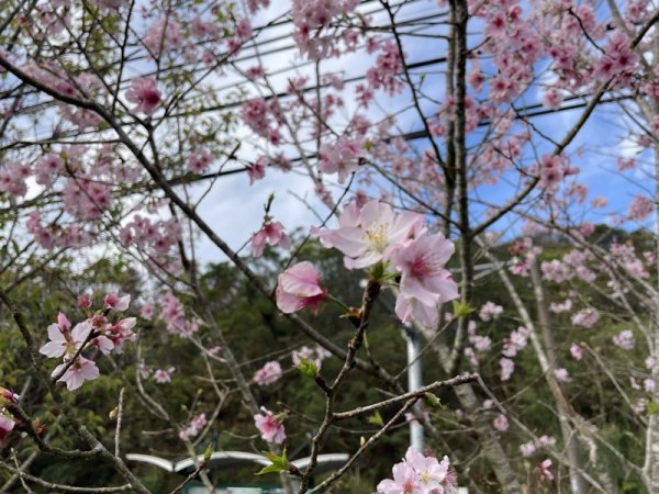 鱷魚頭景觀步道2729204