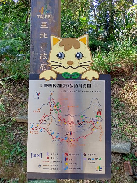 【臺北大縱走 7】貓空站→樟樹、飛龍步道1254309