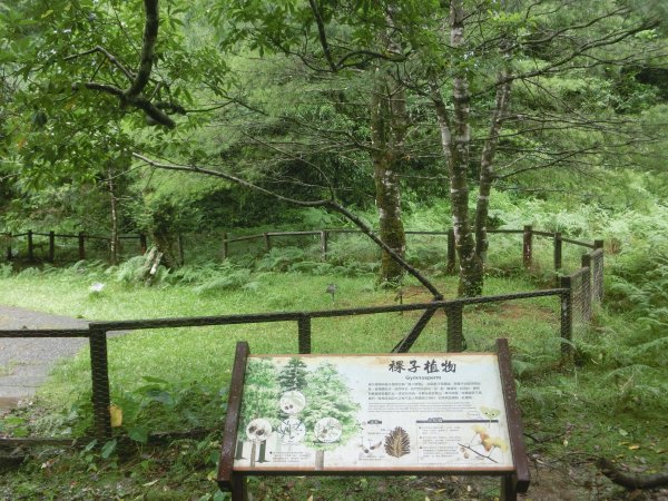 福山植物園690983