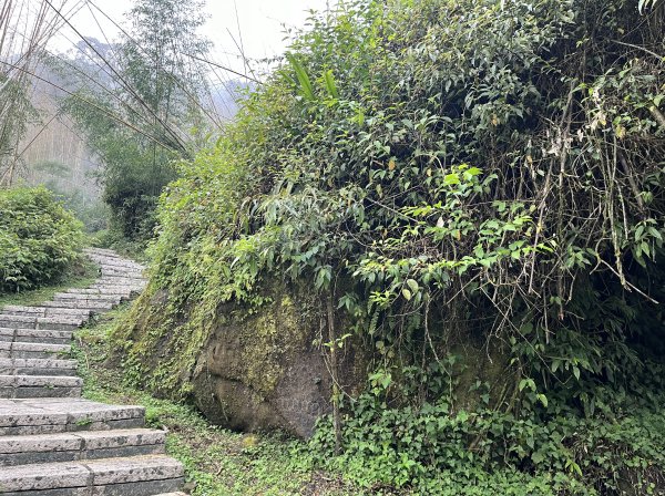 [嘉遊好步道．來嘉走走-04/10] 2024_1011 阿里山頂湖步道2624703