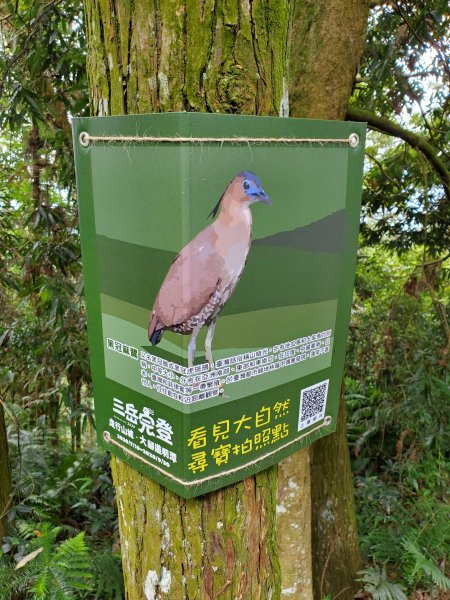 【南投|貓囒山】1049757