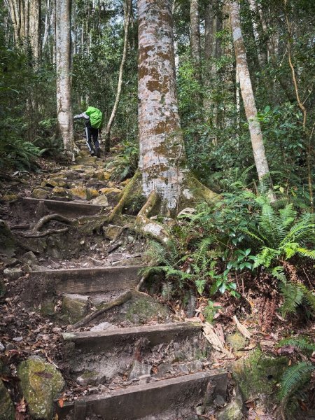 鳶嘴山上的瘦稜2983861
